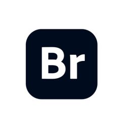 Adobe Bridge 2025 for Mac v15.0.1 文件管理软件 中文激活版 (br2025）