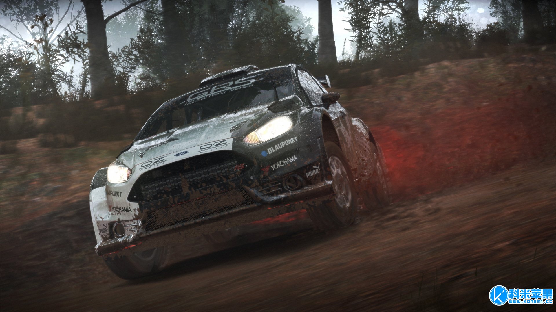 尘埃4 Dirt 4 for mac