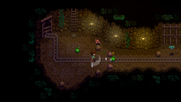 星露谷物语 v1.5.4 Stardew Valley for mac