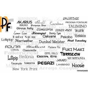 Premium Fonts 字体合集工具 Mac版 苹果电脑 Mac软件 超过2000字体