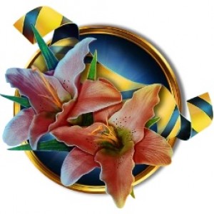 悬案：猩红风信子 收藏版 Unsolved Case: The Scarlet Hyacinth Collector's Edition Mac版 苹果电脑