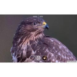 Topaz Photo AI 4.0.1 for Mac 照片锐化消除噪点图像质量增强工具